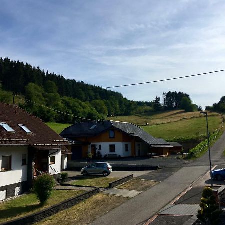 Ferienwohnung Am Nuerburgring/Wintersport Arft Acht 외부 사진