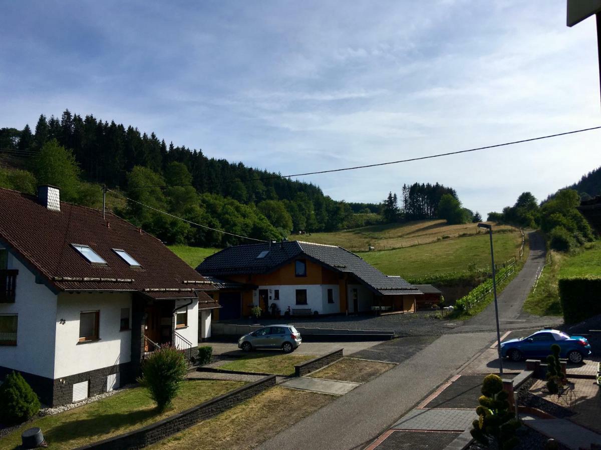 Ferienwohnung Am Nuerburgring/Wintersport Arft Acht 외부 사진